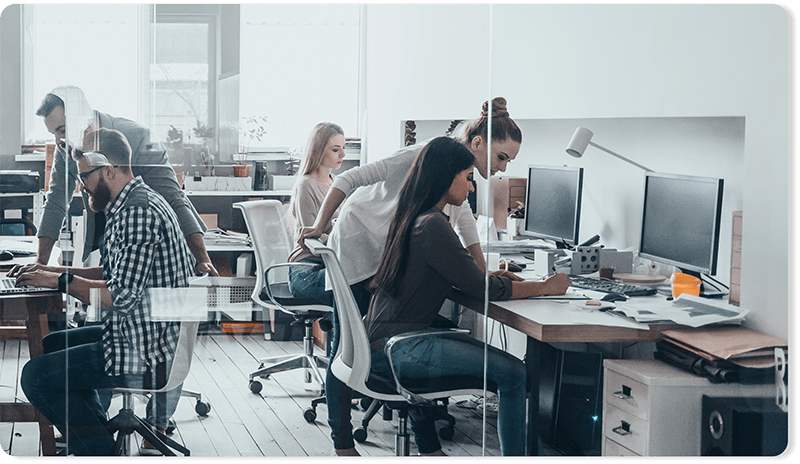 meet the team header